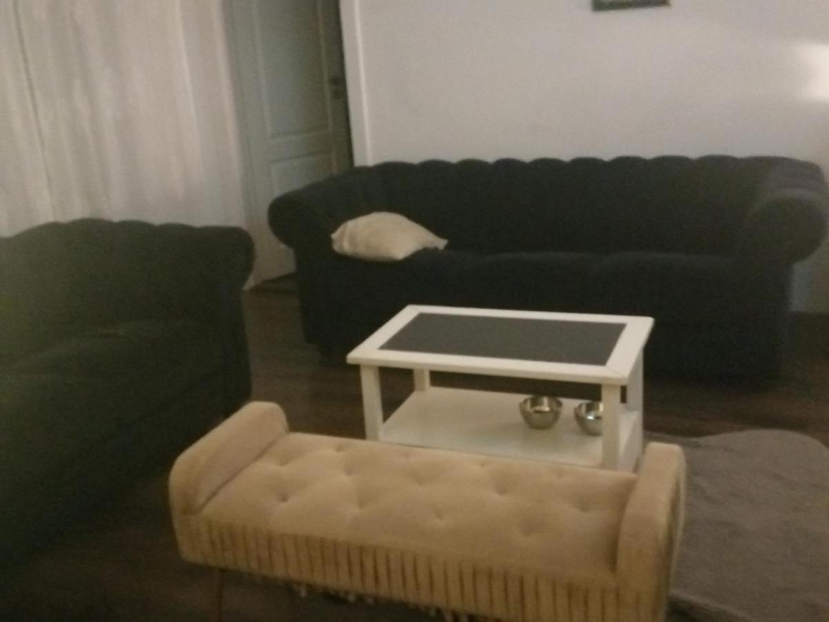 Apartments Rogic Zadar Dış mekan fotoğraf